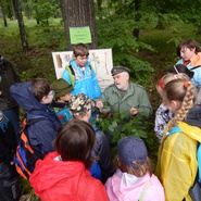 Lesní pedagogika pro ZŠ