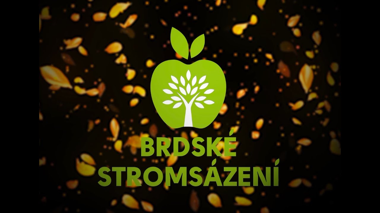 Brdské stromsázení: Videopříběh o tom, jak šest tisíc lidí změnilo údolíčko po zaniklé brdské obci v ovocný sad