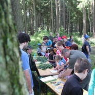 Lesnický den 2016