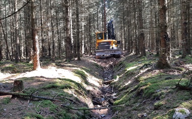 VLS vracejí vodu do Brd. Obnovují potoky, mokřady i prameniště