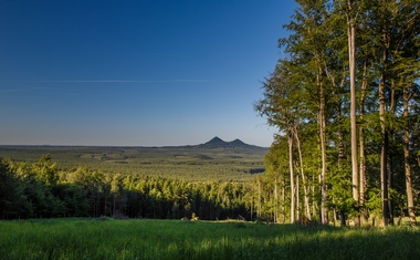 Změna práva hospodařit mezi Lesy ČR a VLS se vrátí do výchozího stavu
