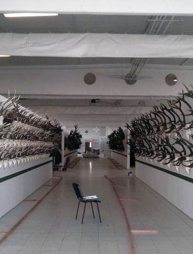 NATURA VIVA 2015 začíná zítra, VLS se prezentují vlastní expozicí i lesní pedagogikou