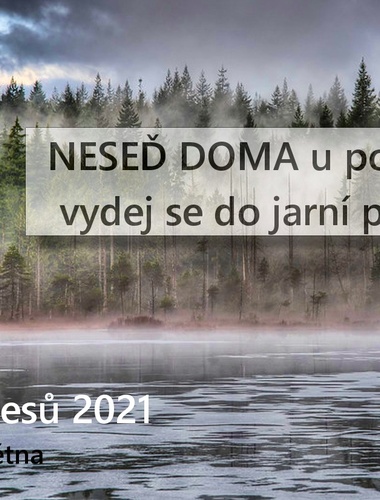 Týden lesů 2021: Les – zelená klimatizace