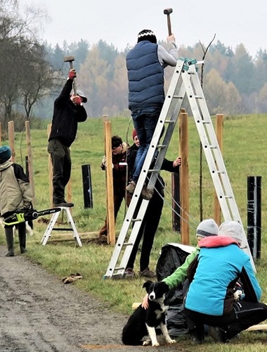 V Ralsku vysadí další Alej vzpomínek, připojit se můžete i vy