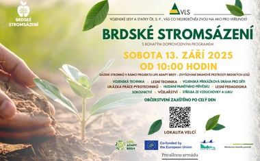 Zasadit strom a pomoc krajině. Brdské stromsázení se blíží