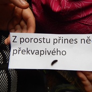 ZŠ Hlubočky na Libavé 