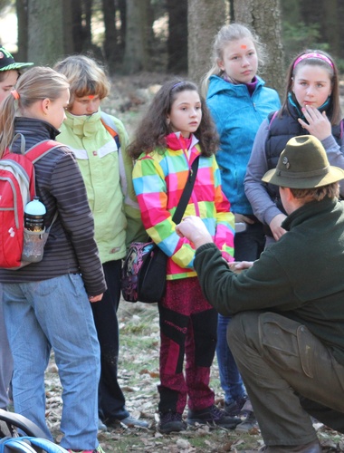 Evropští lesní pedagogové rokují na Vysočině
