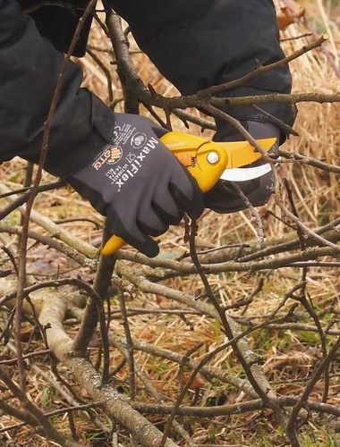 VLS roubují ovocné stromy vysazené dobrovolníky v Brdech odrůdami ze zaniklých obcí