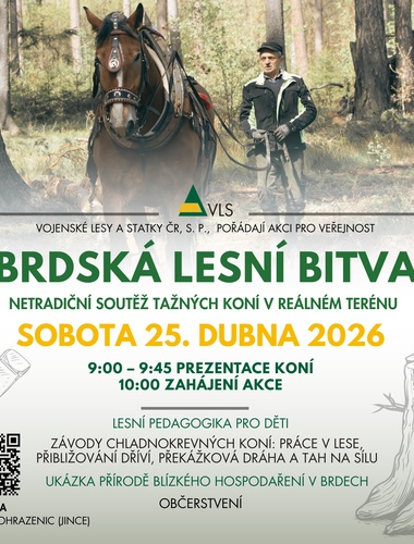 Tažní koně v akci: unikátní lesní klání v Brdech