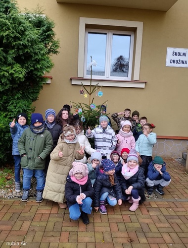 VLS darovaly stovky vánočních stromků