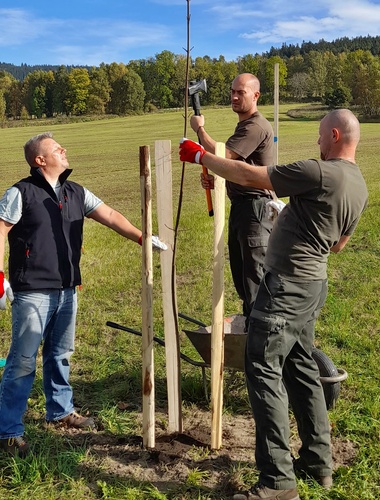 Zaměstnanci VLS vysázeli javorovou alej podél šumavské cyklotrasy na Maňávce