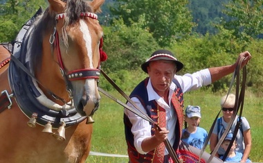 V Brdech se odehraje „Lesní bitva“ tažných koní