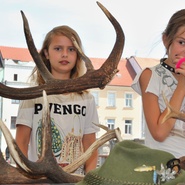 Lesní pedagogika České Budějovice
