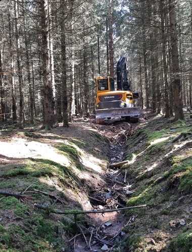 VLS vracejí vodu do Brd. Obnovují potoky, mokřady i prameniště