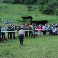 Klubová výstava baervářů