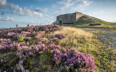 Vojenské lesy obnovují biodiverzitu v Brdech: začínají první projekty
