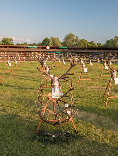 Kalendárium VLS 2019