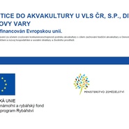 Divize VLS Karlovy Vary