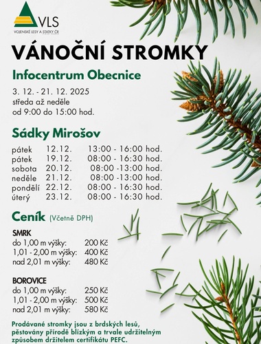 Z Brd až do obýváku: VLS chystají vánoční stromky pro veřejnost