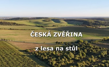 Česká zvěřina na váš stůl. Proč je to skvělá volba a kde ji sehnat?