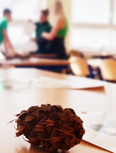 V Karlových Varech startuje příští týden mezinárodní soutěž o lese