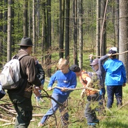 Obnova lesa