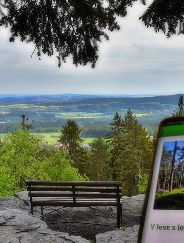 Do brdských hvozdů s virtuálním lesníkem: VLS otevřou novou stezku s geolokační aplikací