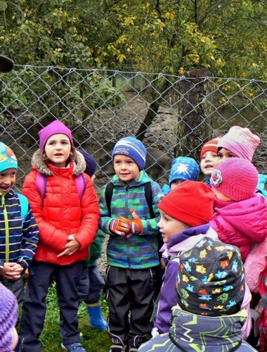 Malí drvoštěpové v potštátských lesích