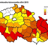 Mapa kůrovcového dříví 2015