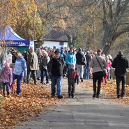 Výlov Olšiny 2016