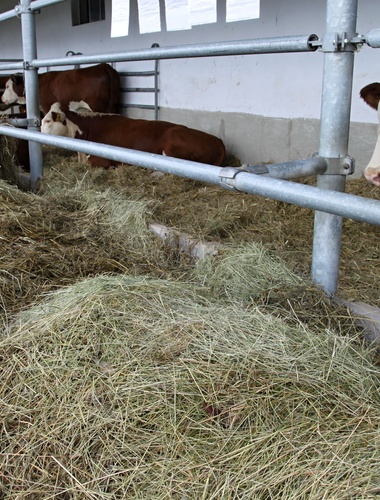 Chovatelský den představil bioprodukty VLS