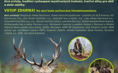 Oslavy lesa na Floře se blíží. Olomouc se promění v les