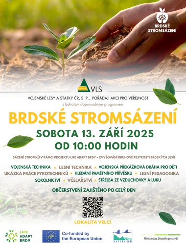 Zasadit strom a pomoc krajině. Brdské stromsázení se blíží