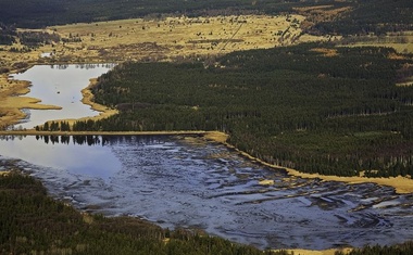 Online workshop zaměřený na adaptaci lesních ekosystémů na změnu klimatu