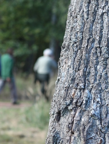 Vojenské lesy uzavřely dohodu s klubem turistů o rozvoji tras v lokalitách, které se otevřely veřejnosti