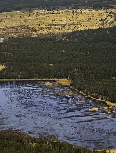 Online workshop zaměřený na adaptaci lesních ekosystémů na změnu klimatu