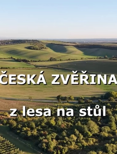 Česká zvěřina na váš stůl. Proč je to skvělá volba a kde ji sehnat?