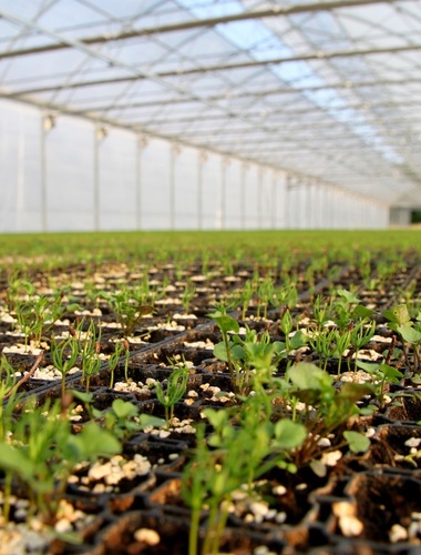 Školkařský den představil letošní osmimilionovou produkci