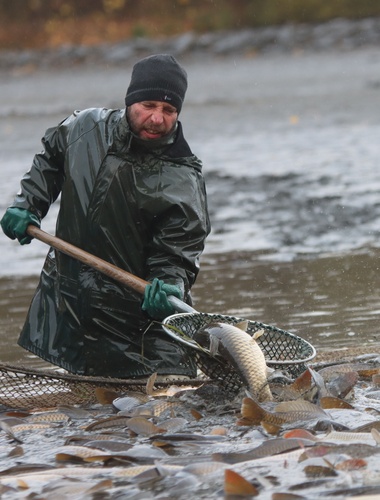 Výlov Dolanského rybníku rybáře mile překvapil