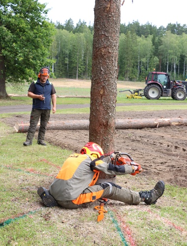 VLS otevírají registraci na národní dřevorubecký šampionát