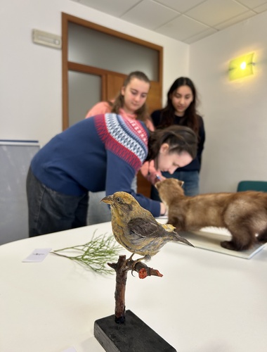 Mezinárodní soutěž už po šestnácté a VLS u toho nebudou chybět