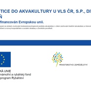 Divize VLS Mimoň