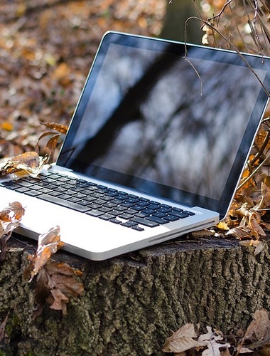 COVID-19: Na Šumavě lesní pedagožka organizuje on-line setkání