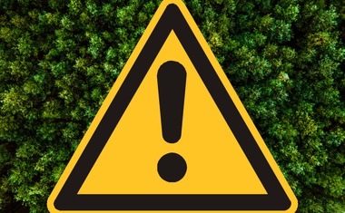 Na Doupově se patrně nachází medvěd či skupina medvědů