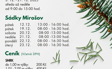 Z Brd až do obýváku: VLS chystají vánoční stromky pro veřejnost
