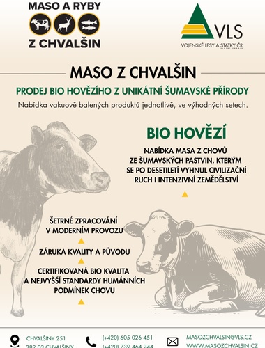 Mimořádná příležitost k nákupu poctivého biohovězího ze Šumavy