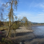 Výlov Olšiny 2016