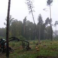 MŠ Libhošť, září 2016