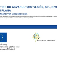 Divize VLS Horní Planá