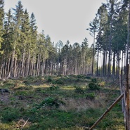 ZŠ Komárov